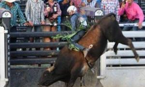 Nashville’s First-Ever Professional Bull Riding Team Begins Regular-Season Competition For PBR Team Series July 25-26 In Cheyenne, Wyoming 