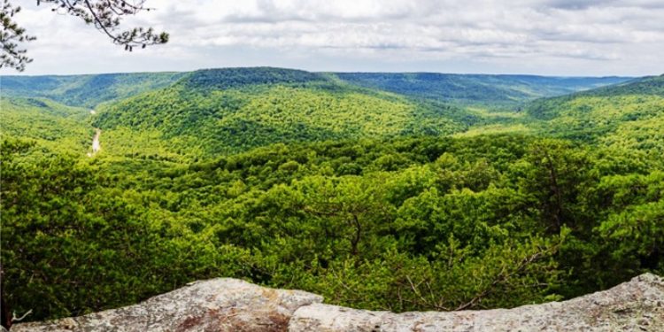 Tennessee’s Forgotten Frontier: Unearthing the Fascinating History of the Cumberland Settlements
