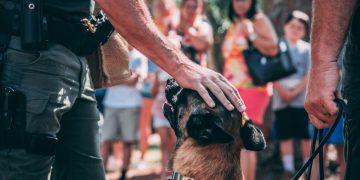 Nashville Police Salaries on the Rise Amidst Cost of Living Concerns