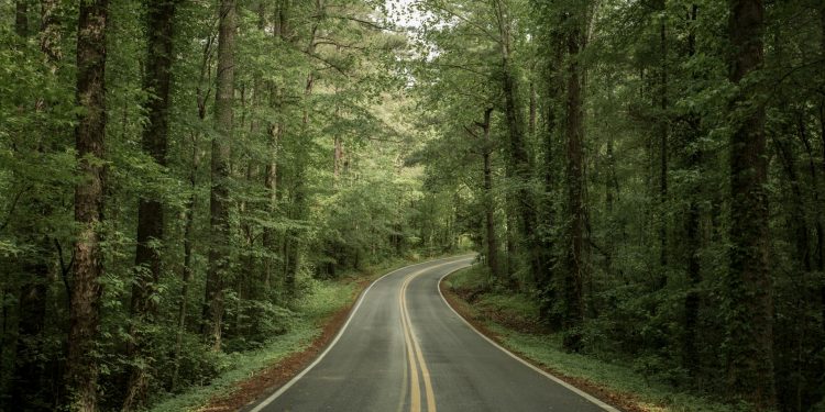 Tennessee Leads Nation in Clean Energy Workforce Growth